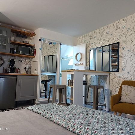 Tres Beau Studio Climatisation, Trois Etoiles, Parking A Velo, Velos En Option, Parking Prive Jardin Montargis Luaran gambar