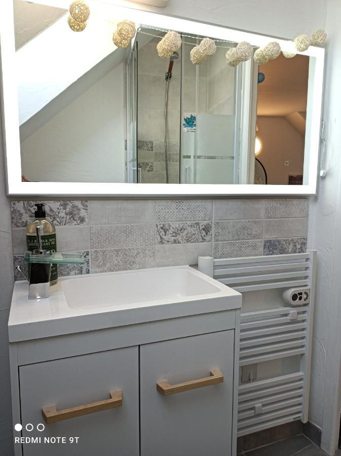 Tres Beau Studio Climatisation, Trois Etoiles, Parking A Velo, Velos En Option, Parking Prive Jardin Montargis Luaran gambar