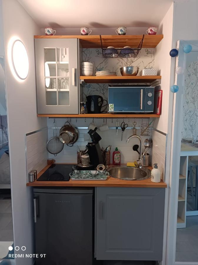 Tres Beau Studio Climatisation, Trois Etoiles, Parking A Velo, Velos En Option, Parking Prive Jardin Montargis Luaran gambar