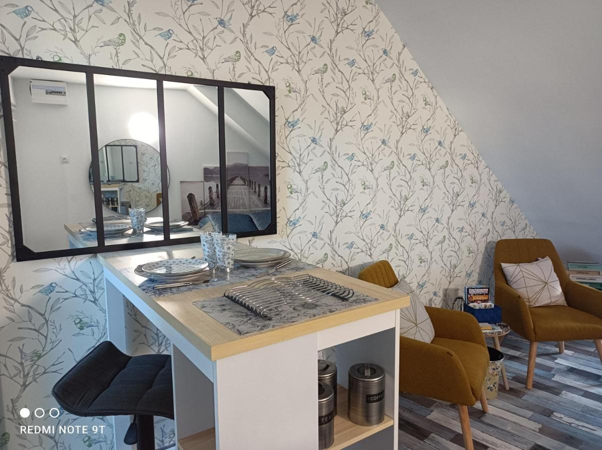 Tres Beau Studio Climatisation, Trois Etoiles, Parking A Velo, Velos En Option, Parking Prive Jardin Montargis Luaran gambar